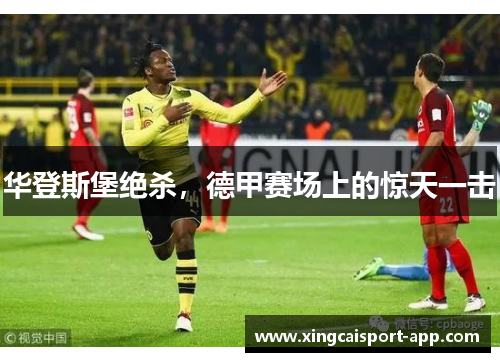 华登斯堡绝杀，德甲赛场上的惊天一击